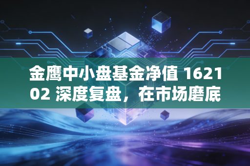 金鹰中小盘基金净值 162102 深度复盘,在市场磨底期,中小盘的野性与韧性