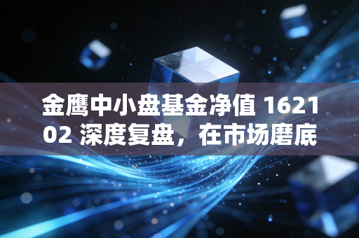 金鹰中小盘基金净值 162102 深度复盘，在市场磨底期，中小盘的野性与韧性