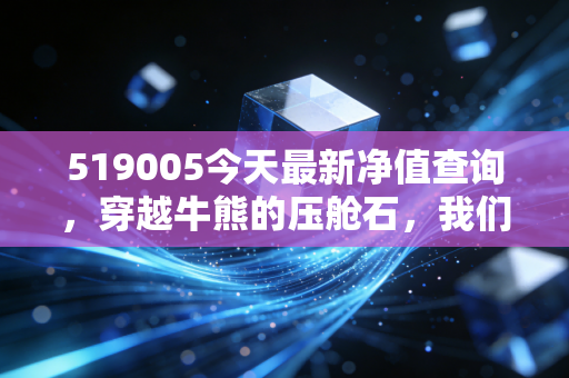 519005今天最新净值查询,穿越牛熊的压舱石,我们在焦虑中寻找什么?