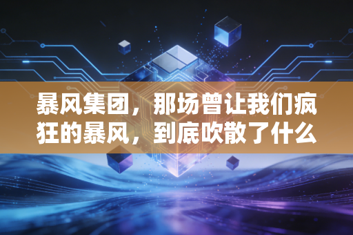 暴风集团，那场曾让我们疯狂的暴风，到底吹散了什么？