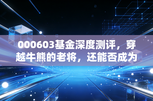 000603基金深度测评,穿越牛熊的老将,还能否成为你账户里的定海神针?