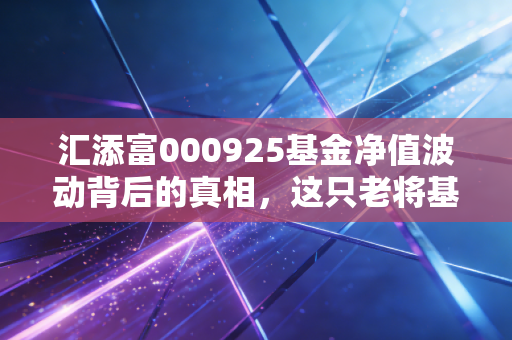 汇添富000925基金净值波动背后的真相，这只老将基金还能带我们飞多远？