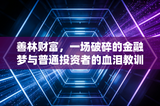 善林财富,一场破碎的金融梦与普通投资者的血泪教训