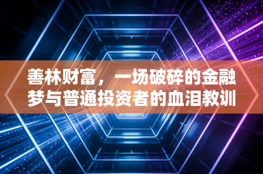 善林财富,一场破碎的金融梦与普通投资者的血泪教训