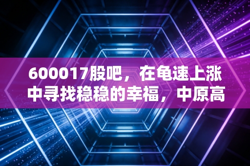 600017股吧，在龟速上涨中寻找稳稳的幸福，中原高速的守门人哲学