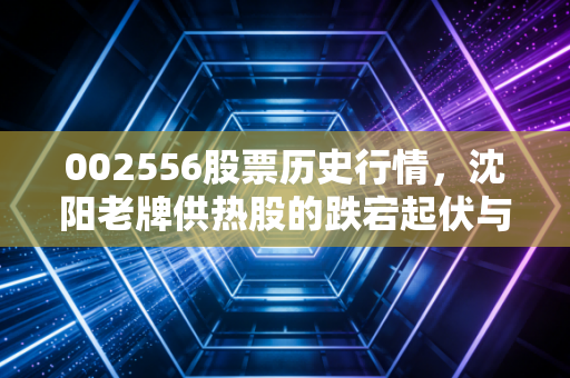 002556股票历史行情,沈阳老牌供热股的跌宕起伏与投资启示
