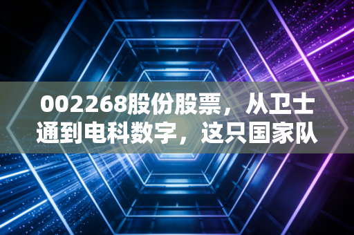 002268股份股票，从卫士通到电科数字，这只国家队选手能否撑起数字经济的半壁江山？