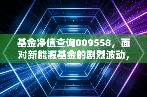 基金净值查询009558，面对新能源基金的剧烈波动，我们该跑还是留？