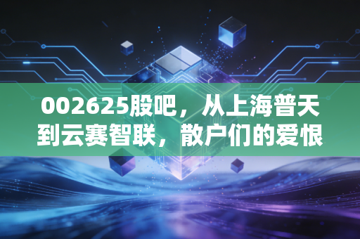 002625股吧，从上海普天到云赛智联，散户们的爱恨情仇与数字城市的幻梦