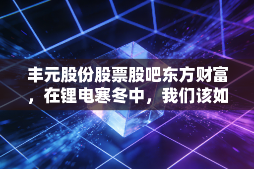 丰元股份股票股吧东方财富,在锂电寒冬中,我们该如何读懂散户的焦虑与坚守?
