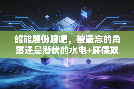 韶能股份股吧，被遗忘的角落还是潜伏的水电+环保双雄？