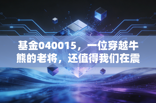 基金040015，一位穿越牛熊的老将，还值得我们在震荡市托付吗？
