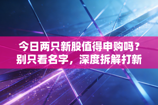 今日两只新股值得申购吗？别只看名字，深度拆解打新背后的肉签与地雷