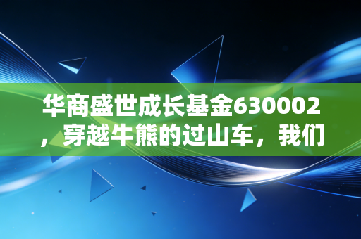 华商盛世成长基金630002，穿越牛熊的过山车，我们该如何与高波动共处？