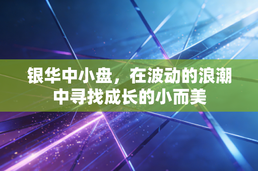 银华中小盘，在波动的浪潮中寻找成长的小而美