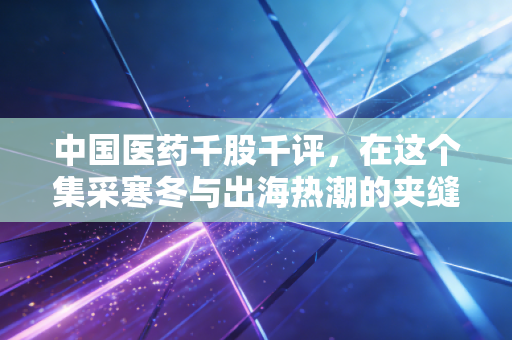 中国医药千股千评，在这个集采寒冬与出海热潮的夹缝中，我们该如何审视这只国家队？