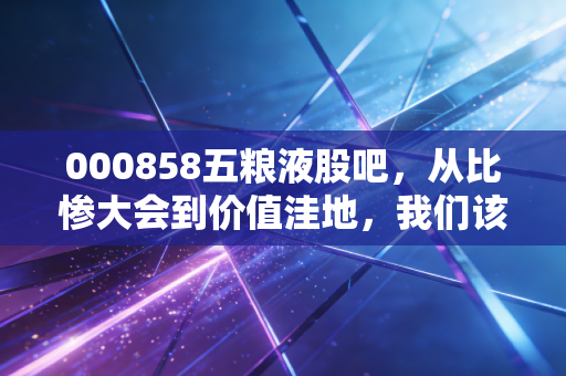 000858五粮液股吧,从比惨大会到价值洼地,我们该如何安放这杯酒?
