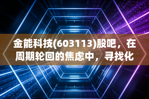 金能科技(603113)股吧，在周期轮回的焦虑中，寻找化工龙头的确定性