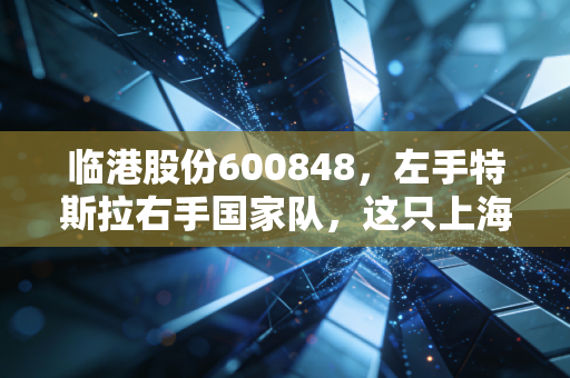 临港股份600848,左手特斯拉右手国家队,这只上海隐形地主到底值不值得托付?