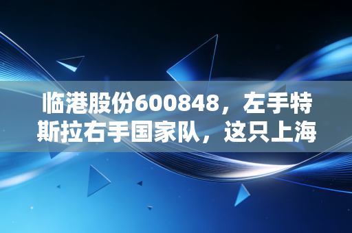 临港股份600848,左手特斯拉右手国家队,这只上海隐形地主到底值不值得托付?