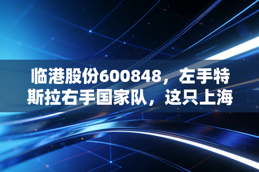 临港股份600848，左手特斯拉右手国家队，这只上海隐形地主到底值不值得托付？
