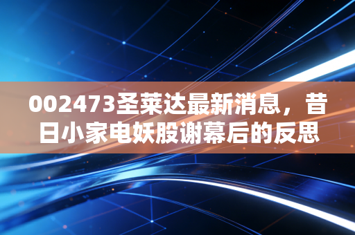 002473圣莱达最新消息,昔日小家电妖股谢幕后的反思与投资者索赔实录