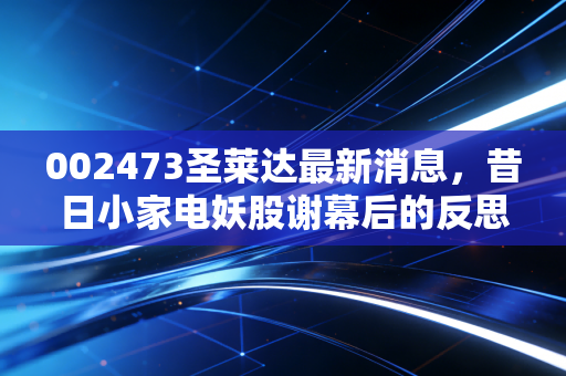 002473圣莱达最新消息，昔日小家电妖股谢幕后的反思与投资者索赔实录