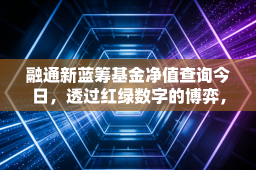 融通新蓝筹基金净值查询今日，透过红绿数字的博弈，聊聊这只老牌基金的长情与变局