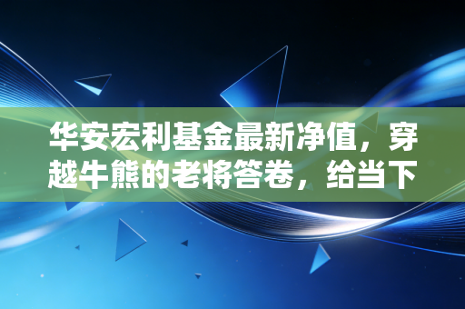 华安宏利基金最新净值,穿越牛熊的老将答卷,给当下投资者的几点真心话