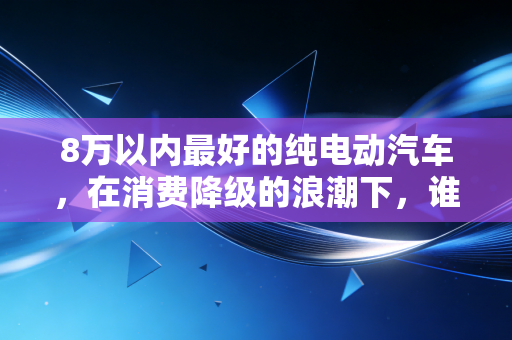 8万以内最好的纯电动汽车,在消费降级的浪潮下,谁才是真正的性价比之王?