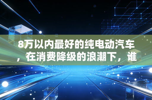 8万以内最好的纯电动汽车，在消费降级的浪潮下，谁才是真正的性价比之王？