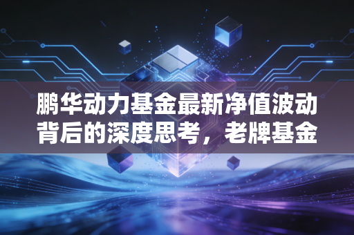 鹏华动力基金最新净值波动背后的深度思考，老牌基金还能带给我们动力吗？