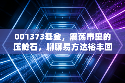 001373基金，震荡市里的压舱石，聊聊易方达裕丰回报的稳健之道