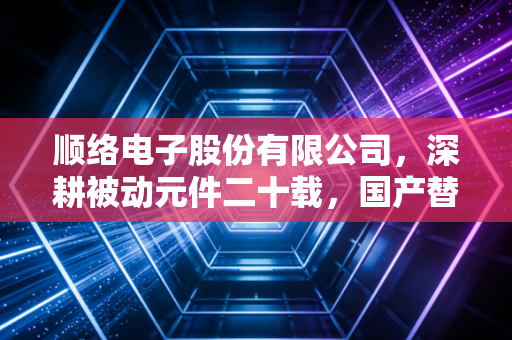 顺络电子股份有限公司,深耕被动元件二十载,国产替代浪潮下的隐形冠军能否续写传奇?