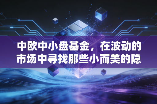 中欧中小盘基金，在波动的市场中寻找那些小而美的隐形冠军