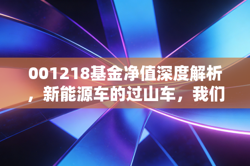 001218基金净值深度解析，新能源车的过山车，我们该下车还是系好安全带？