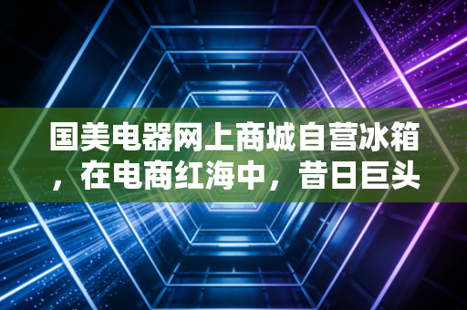 国美电器网上商城自营冰箱，在电商红海中，昔日巨头的自营底牌还能打多久？