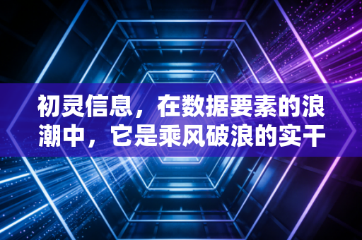 初灵信息，在数据要素的浪潮中，它是乘风破浪的实干家还是资本市场的弄潮儿？