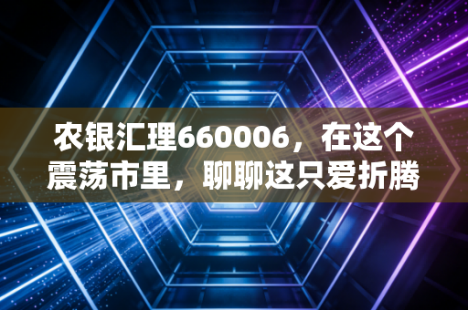 农银汇理660006，在这个震荡市里，聊聊这只爱折腾的基金怎么样？
