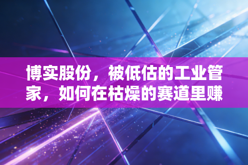 博实股份，被低估的工业管家，如何在枯燥的赛道里赚得稳稳的幸福？