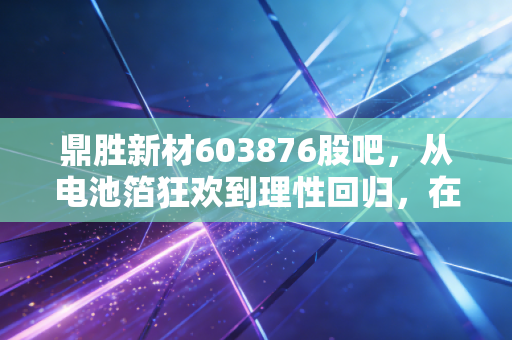 鼎胜新材603876股吧,从电池箔狂欢到理性回归,在周期波动中寻找定力