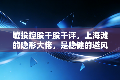 城投控股千股千评，上海滩的隐形大佬，是稳健的避风港还是平庸的温吞水？