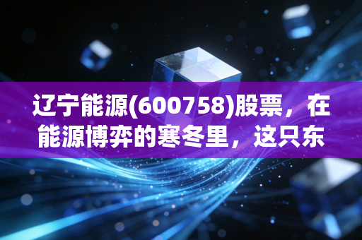 辽宁能源(600758)股票，在能源博弈的寒冬里，这只东北老大哥还能不能打？