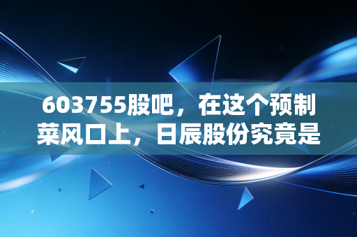 603755股吧，在这个预制菜风口上，日辰股份究竟是隐形冠军还是温水煮青蛙？