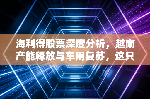 海利得股票深度分析，越南产能释放与车用复苏，这只隐形冠军还能不能打？