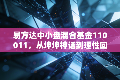 易方达中小盘混合基金110011，从坤坤神话到理性回归，一位老基民的深情回望