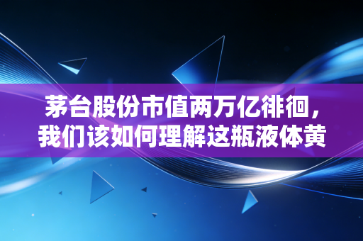 茅台股份市值两万亿徘徊，我们该如何理解这瓶液体黄金的投资逻辑？