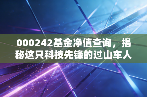 000242基金净值查询，揭秘这只科技先锋的过山车人生与投资启示