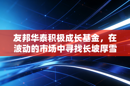 友邦华泰积极成长基金，在波动的市场中寻找长坡厚雪，我们的钱该往哪放？