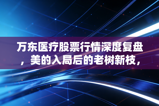 万东医疗股票行情深度复盘，美的入局后的老树新枝，到底值不值得我们长期托付？